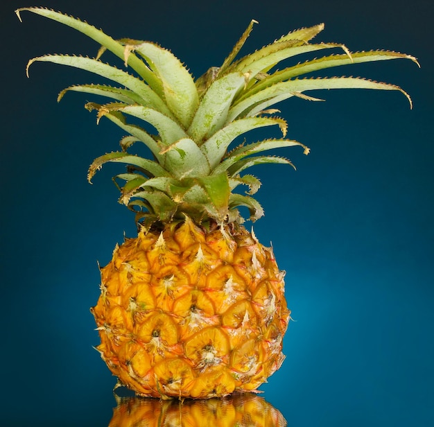 Reife Ananas auf dunkelblauem Hintergrund