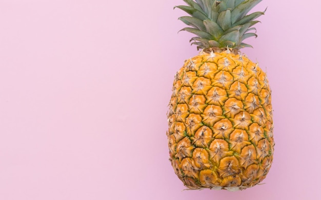 Reife Ananas auf einem rosa Hintergrund