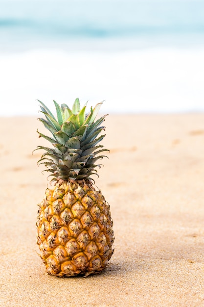 Reife Ananas in der Nähe des Ozeans