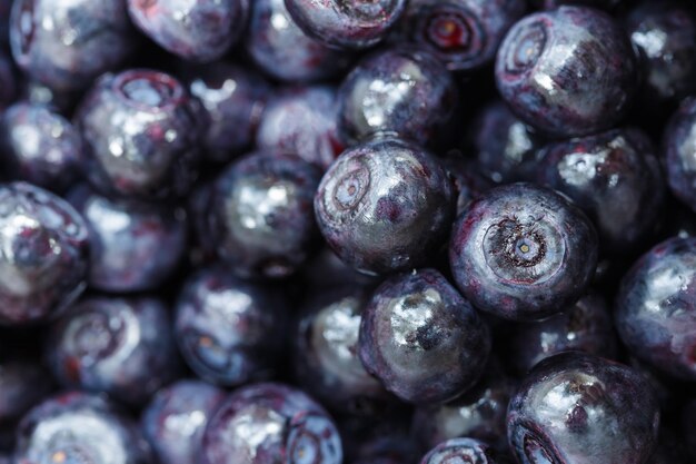 Reife Blaubeeren als Hintergrund