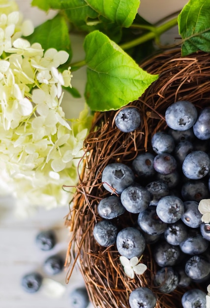 Reife Blaubeeren Blaubeeren befinden sich in einem Weinkorb mit Hortensienblüten in der Nähe