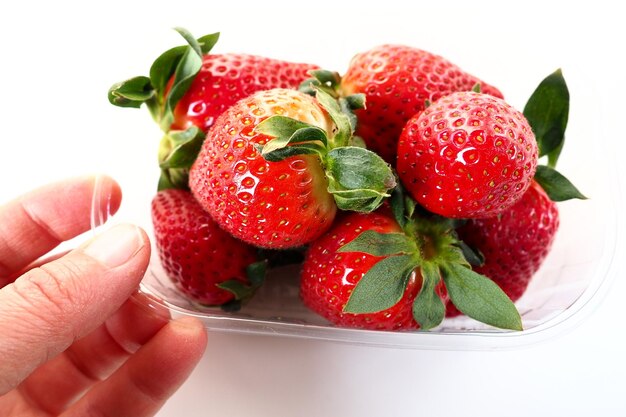 Reife Erdbeeren in einer Kunststoffverpackung auf weißem Hintergrund Köstliche frische Beeren in einem Behälter zum Verkauf an Kunden Frischhalten von Lebensmitteln Gesunde Ernährung Woman39s Hand mit Erdbeeren