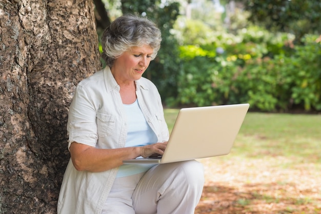 Reife Frau, die etwas in einen Laptop sitzt auf Baumstamm schreibt