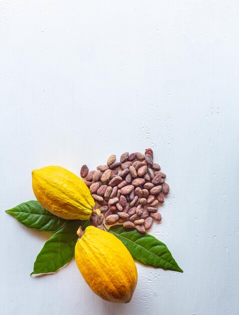 Reife frische Kakaoschoten und trockene braune Kakaobohnen mit grünem Kakaoblatt auf weißem Holzhintergrund