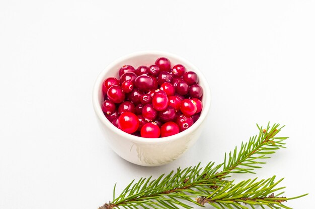 Reife frische Preiselbeeren in einer Schüssel mit Tannenzweig lokalisiert auf weißem Hintergrund. Gesunde Ernährung im Winter. Bio- und vegetarische Lebensmittel enthalten Vitamin C.