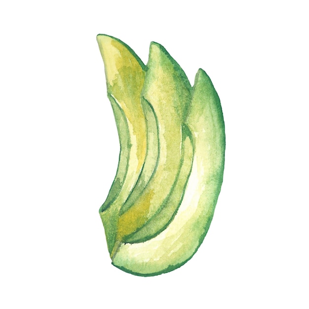 Reife grüne Avocadoscheiben Illustration einer Avocadofrucht