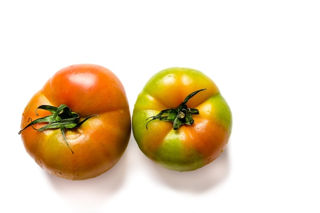 Reife grüne große Tomate auf weißem Hintergrund..