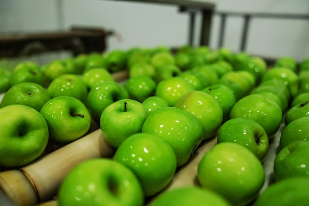 Reife grüne Äpfel frisch im Fokus gewaschen