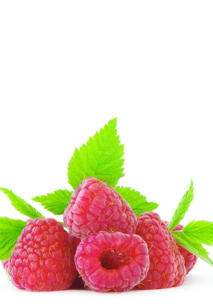 Reife Himbeeren isoliert auf weißem Hintergrund