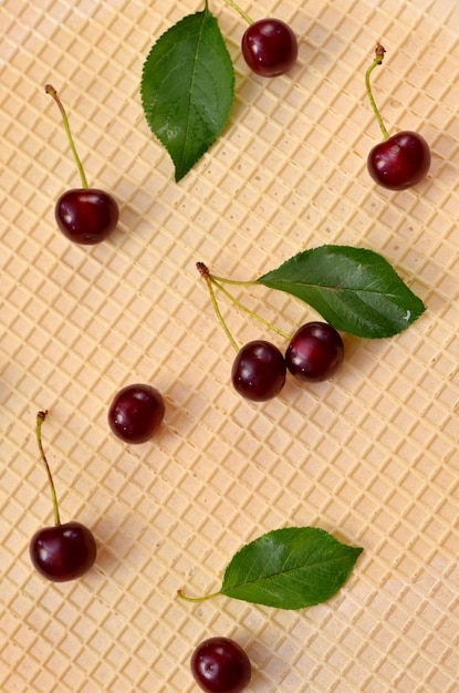 Reife Kirschen des Lebensmittelhintergrundes mit Blättern auf den Waffeln