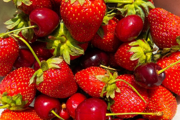 Reife leckere Beeren Aprikose Süßkirsche Erdbeere Nahaufnahme Draufsicht