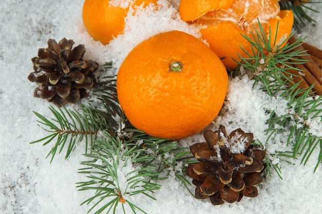 Reife Mandarinen mit Tannenzweig im Schnee hautnah