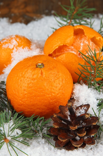 Reife Mandarinen mit Tannenzweig im Schnee hautnah