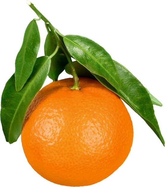 Reife Orange