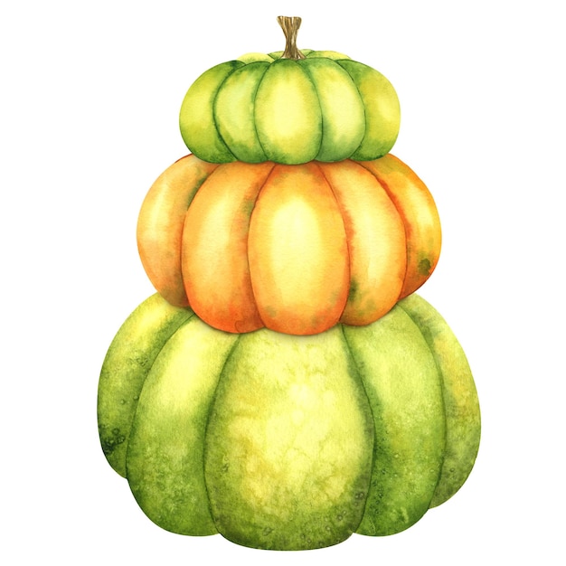 Reife orangefarbene und grüne Kürbisse Bio-Herbstgemüse Herbstdekoration Isolierte Aquarell-Illustration Handzeichnung Es ist perfekt für Thanksgiving- und Halloween-Karten oder Plakate