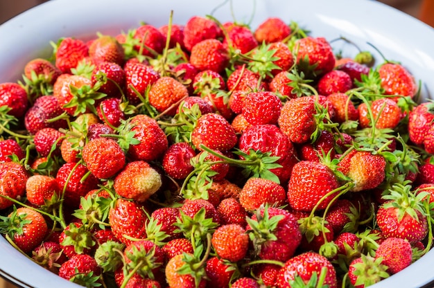 Reife organische Erdbeeren in der weißen Platte, natürliches Licht.