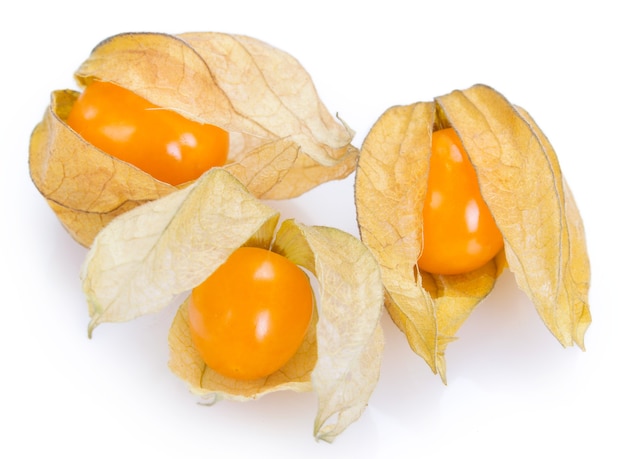 Reife Physalis isoliert auf weißem Hintergrund