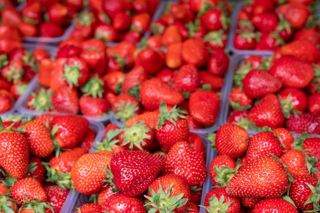 Reife rote Erdbeeren in Plastikboxen.