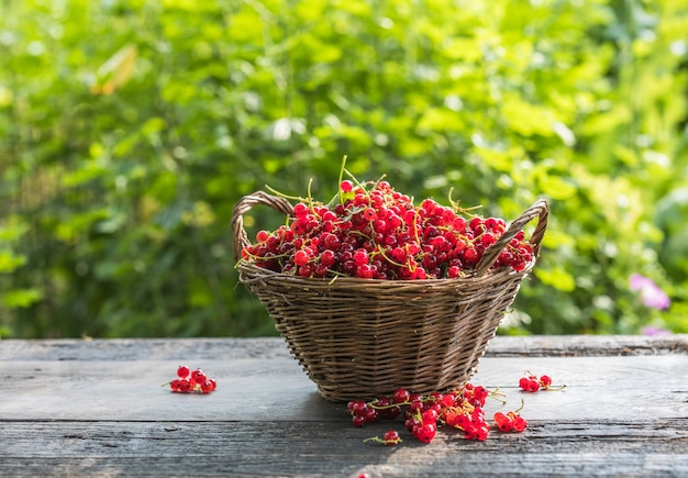 Reife rote Johannisbeeren in einer Schüssel auf rustikalem Holzhintergrund