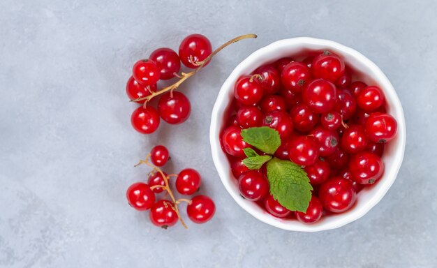 Reife rote Johannisbeeren in weißer Schüssel Nahaufnahme. Frische rote Johannisbeere mit Minzblättern auf leichter Dray-Steintischoberansicht