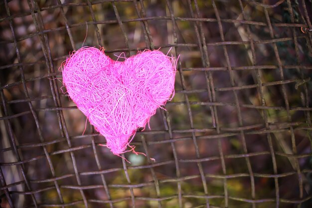 Reife rote Äpfel am Apfelbaumzweig im Garten