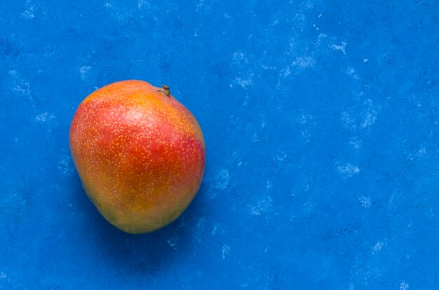 Reife saftige Frucht der brasilianischen Mango aus den Tropen auf einem Blau