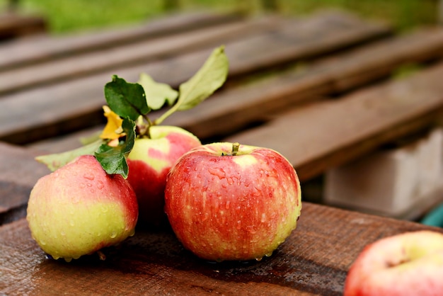 Reife schöne Äpfel auf einem hölzernen Hintergrund. Herbsternte