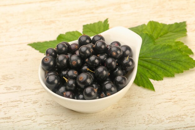 Reife schwarze Johannisbeeren