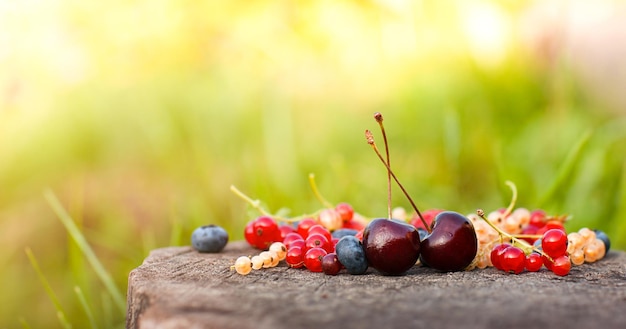 Reife Sommerbeeren auf einer Holzoberfläche