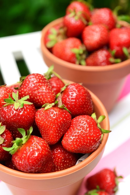 Reife süße Erdbeeren in Töpfen auf dem Tisch im Garten