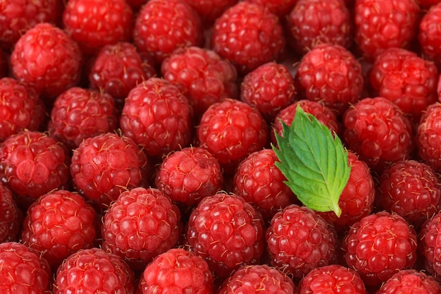 Reife süße Himbeeren hautnah