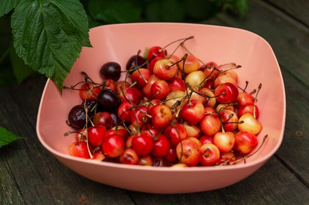 Reife Süßkirschen in einer rosa Schüssel auf einem Holztisch. Nahansicht. Vitamine und gesundes Essen.