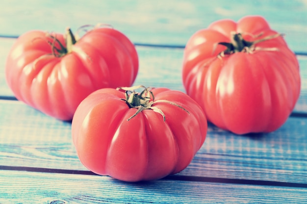 Reife Tomate mit drei Rottönen mit grünem Stiel auf einem blauen Hintergrund