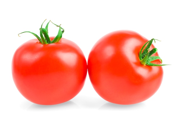 reife Tomaten auf einem Weiß