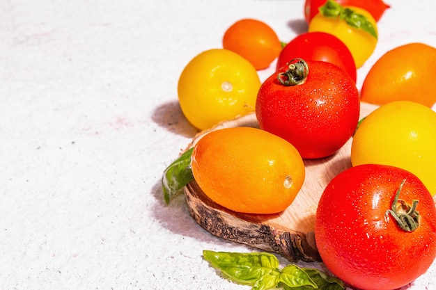 Reife Tomaten des Sortiments mit frischen Basilikumblättern. Neue Ernte, ganzes und halbiertes Gemüse, trendiges hartes Licht, dunkle Schatten. Weißer Kitthintergrund, Platz für Text