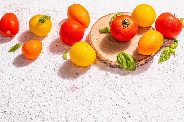 Reife Tomaten des Sortiments mit frischen Basilikumblättern. Neue Ernte, ganzes und halbiertes Gemüse, trendiges hartes Licht, dunkle Schatten. Weißer Kitthintergrund, Platz für Text