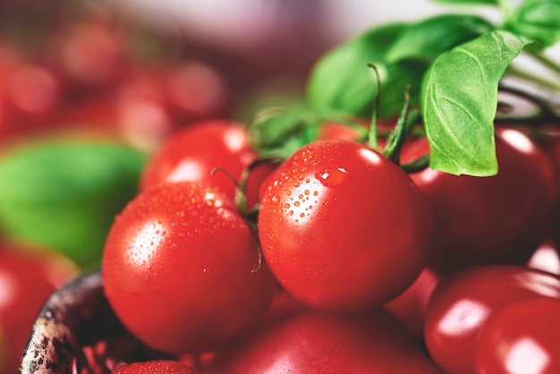 Reife Tomaten in der Schüssel