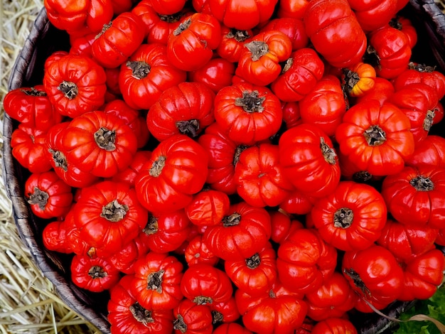 Reife Tomaten in einem Korb auf einer Natur. flach liegen