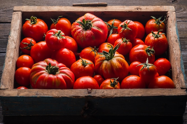 Reife Tomaten in einer Holzkiste Frisches Gemüse auf schwarzem Holzhintergrund