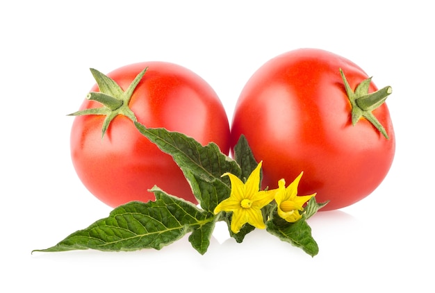 Reife Tomaten isoliert auf weißem Hintergrund