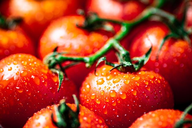 Reife Tomaten mit Wassertropfen