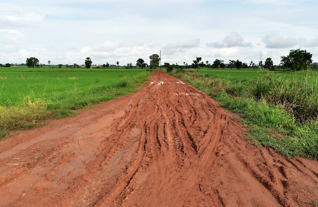 Reifenspur vieler Fahrzeuge auf Bodenschlammstraße in der Landschaft