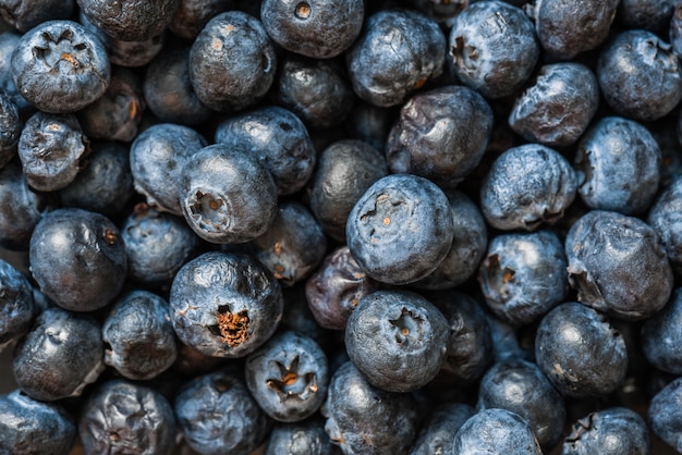 Reifer Blaubeerhintergrund