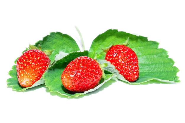 Reifer frischer Erdbeerschnittpfad