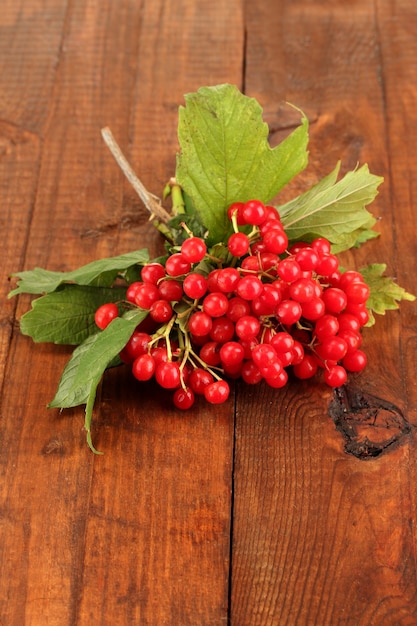 Reifes Viburnum auf hölzerner Hintergrundnahaufnahme