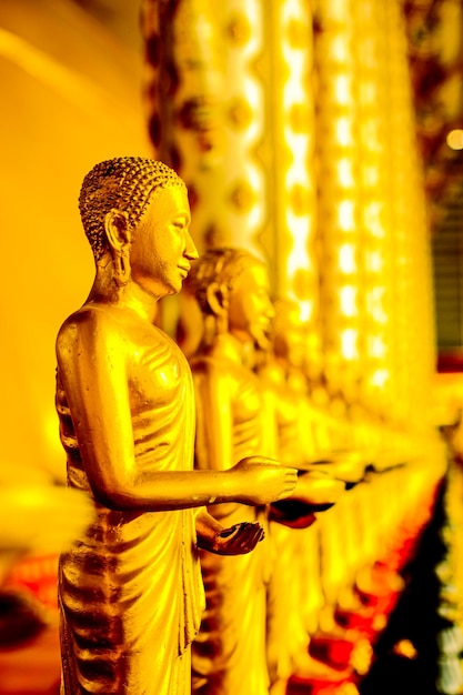 Reihe der goldenen Buddha-Statue im Tempel