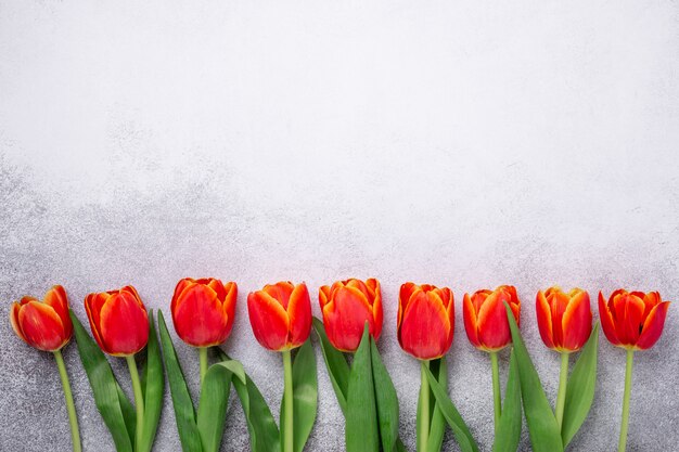 Reihe der roten Tulpen auf hellem Steinhintergrund. Kreative Wohnung lag. Draufsicht. Speicherplatz kopieren