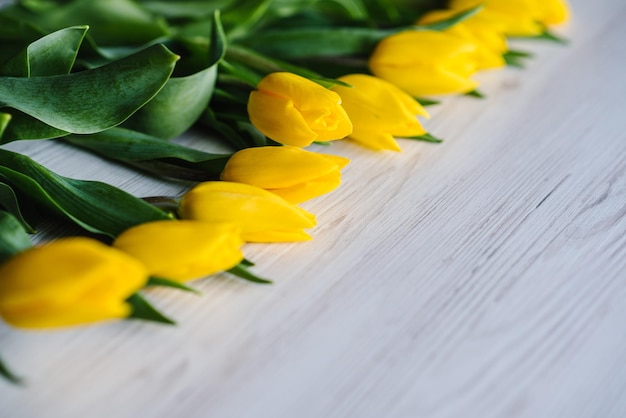 Reihe gelber Tulpen auf weißem rustikalem Holzhintergrund mit Platz für Nachricht Konzept Hallo Frühlingsblumen Feiertagsgrußkarte zum Valentinstag Frauen Muttertag Ostern Seitenansicht