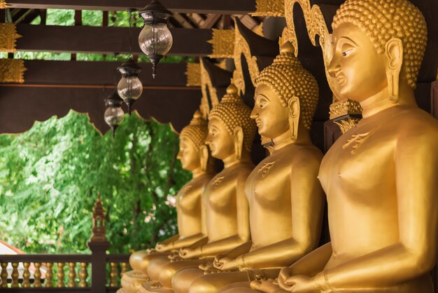 Reihe von goldenem Buddha im Tempel, Thailand