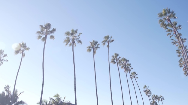 Reihe von Palmen auf der Straße in der Nähe von Los Angeles, Kalifornien, Küste, Strandurlaub